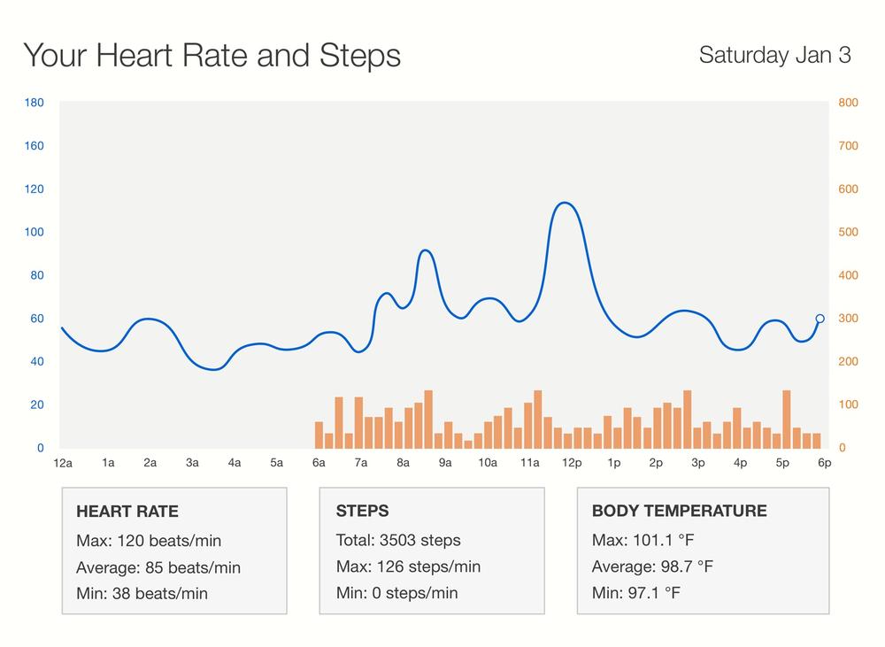 Heart rate and activity chart for a day