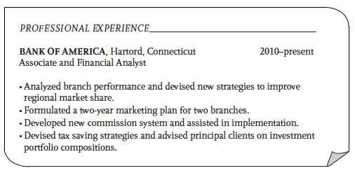 Resume Excerpt