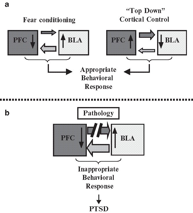 A978-1-60327-329-9_3_Fig1_HTML.gif