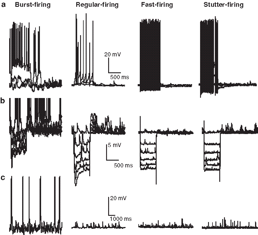 A978-1-60327-329-9_3_Fig3_HTML.gif