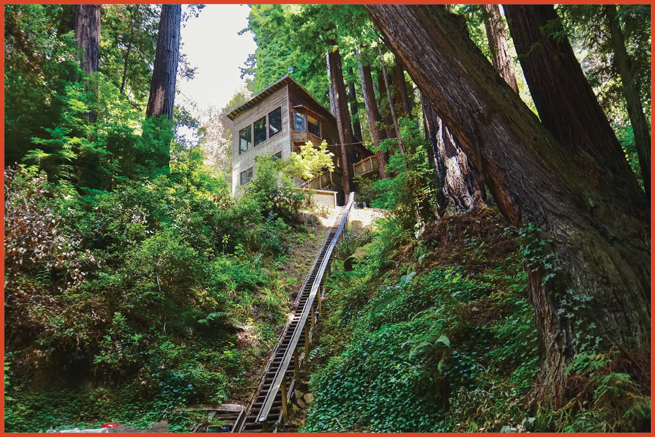 image of a cabin in the woods