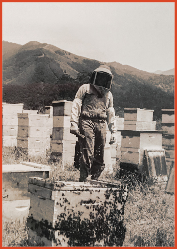 image of man wearing a bee protection suit standing next to a beehive