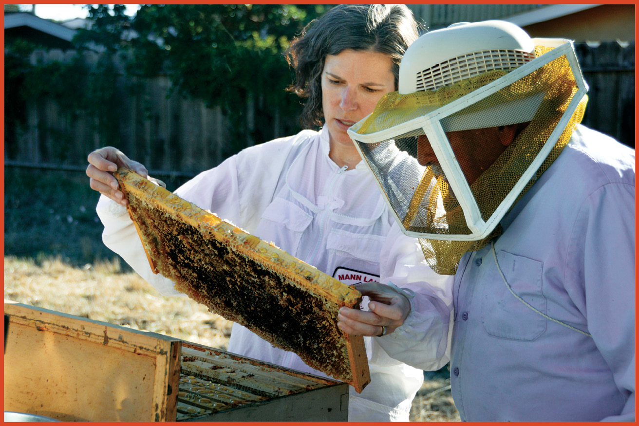 image of womand and old man inspecting a beehive