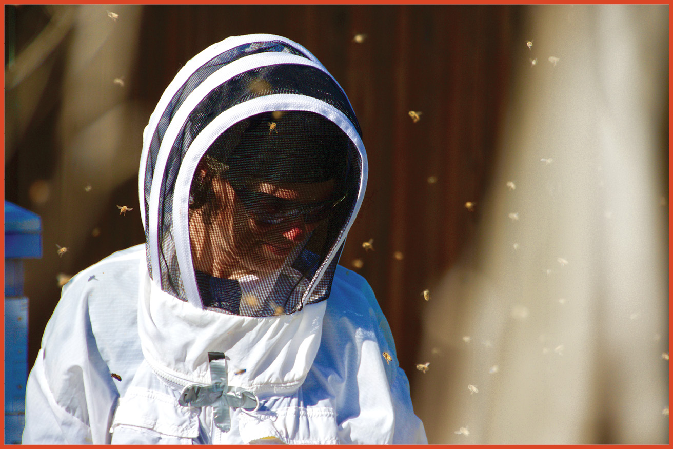 image ofwoman wearing bee protective gear surrounded by bees