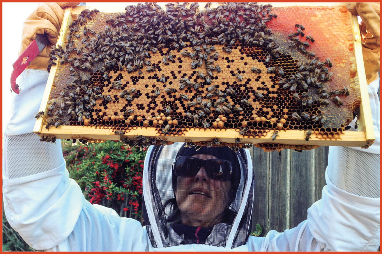 image of woman wearing protective gear inspecting beehive frames