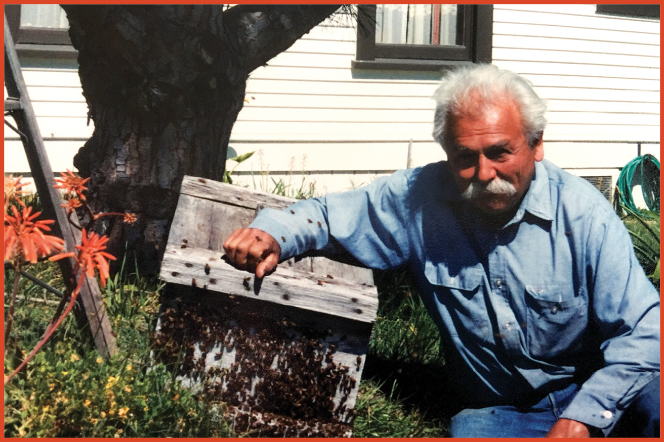 image of old man sitting next two a honey bee hive