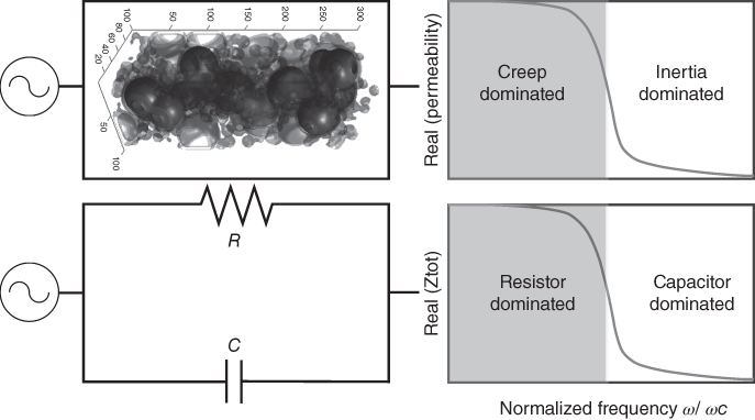 A circuit diagram and schematic diagram of Analogy between the dynamic permeability model of Johnson et al. (1987) and RC electric circuits in parallel.