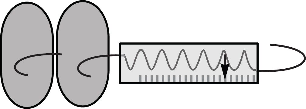 Figure 3: Twice the mass.