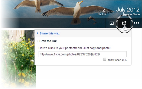 Flickr makes it easy to turn your photo stream into a slideshow. Click the sharing button (circled) and then select “Grab the link.”