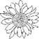 A black and white drawing of a flower

Description automatically generated