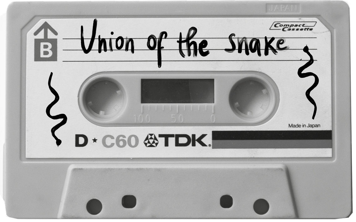 Union of the snake