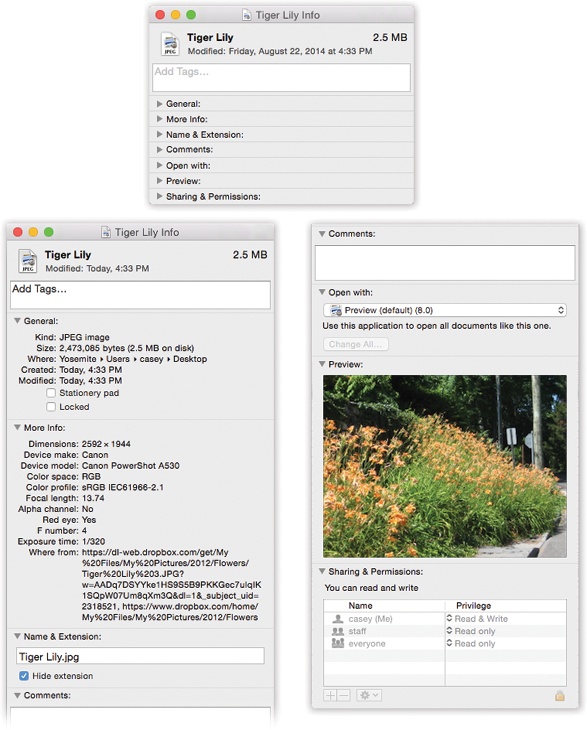 Top: The Get Info window can be as small as this, with all its information panes collapsed.Bottom: Or, if you click each flippy triangle to open its corresponding pane of information (or Option-click to expand or collapse them all at once), it can be as huge as this—shown here split in two because the book isn’t tall enough to show the whole thing. The resulting dialog box can easily grow taller than your screen, which is a good argument for either (a) closing the panes you don’t need at any given moment or (b) running out to buy a really gigantic monitor.And as long as you’re taking the trouble to read this caption, here’s a tasty bonus: There’s a secret command called Get Summary Info. Highlight a group of icons, press Control-⌘-I, and marvel at the special Get Info box that tallies up their sizes and other characteristics.