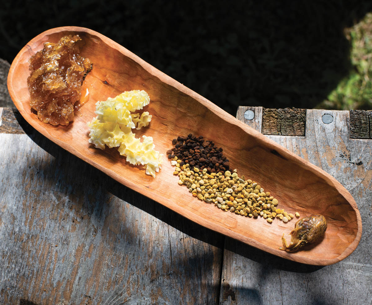 A dish of honey, beeswax, pollen, and propolis.