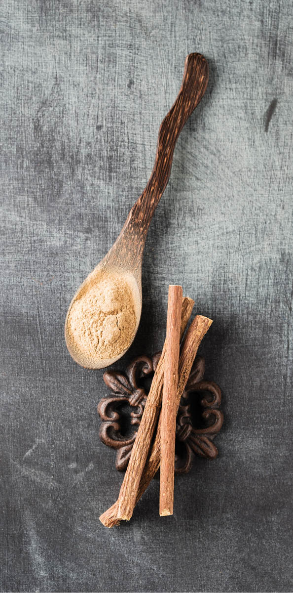 A spoonful of powdered licorice with dried licorice sticks.