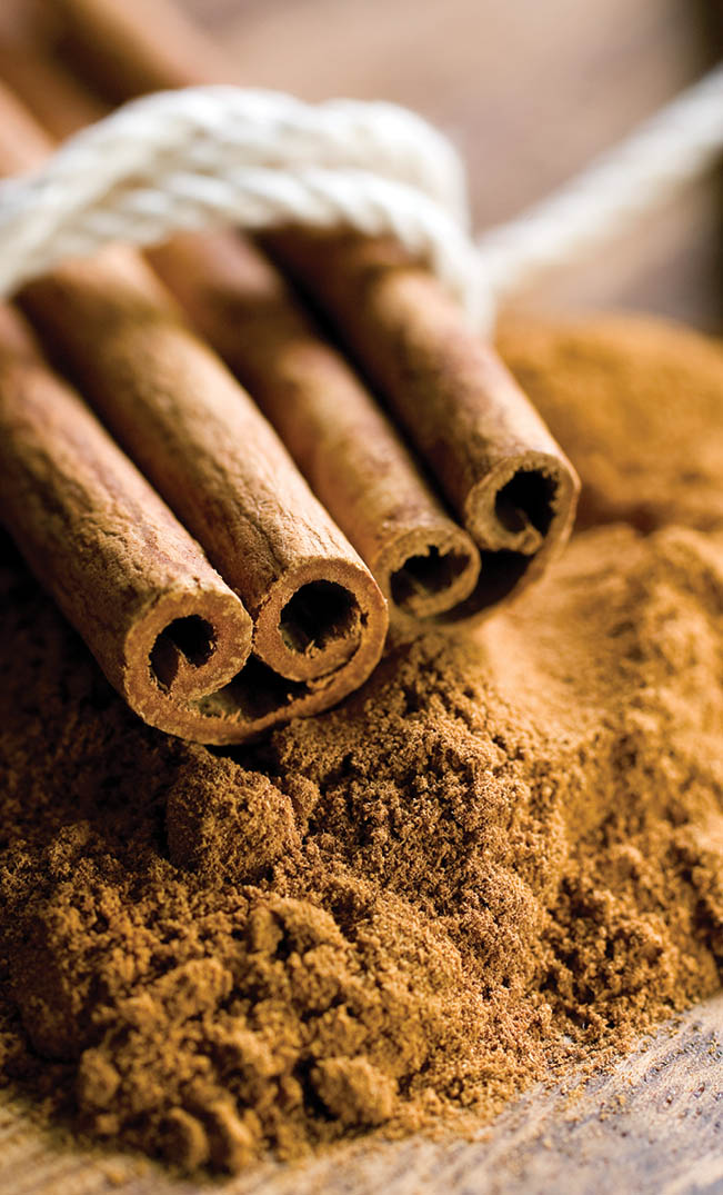 Cinnamon sticks atop powdered cinnamon.