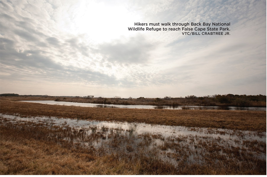 Hikers must walk through Back Bay National Wildlife Refuge to reach False Cape State Park. VTC/BILL CRABTREE JR.