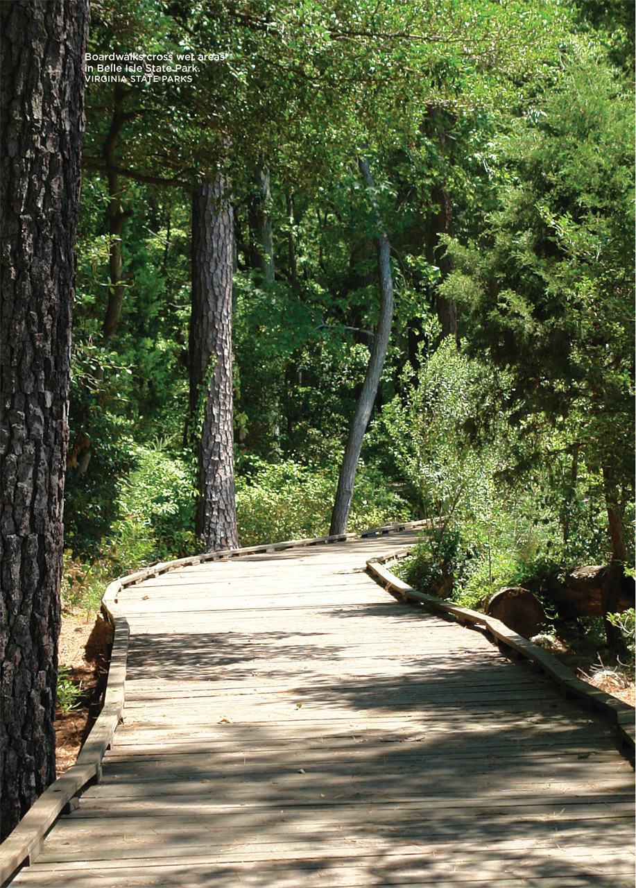 Boardwalks cross wet areas in Belle Isle State Park. VIRGINIA STATE PARKS