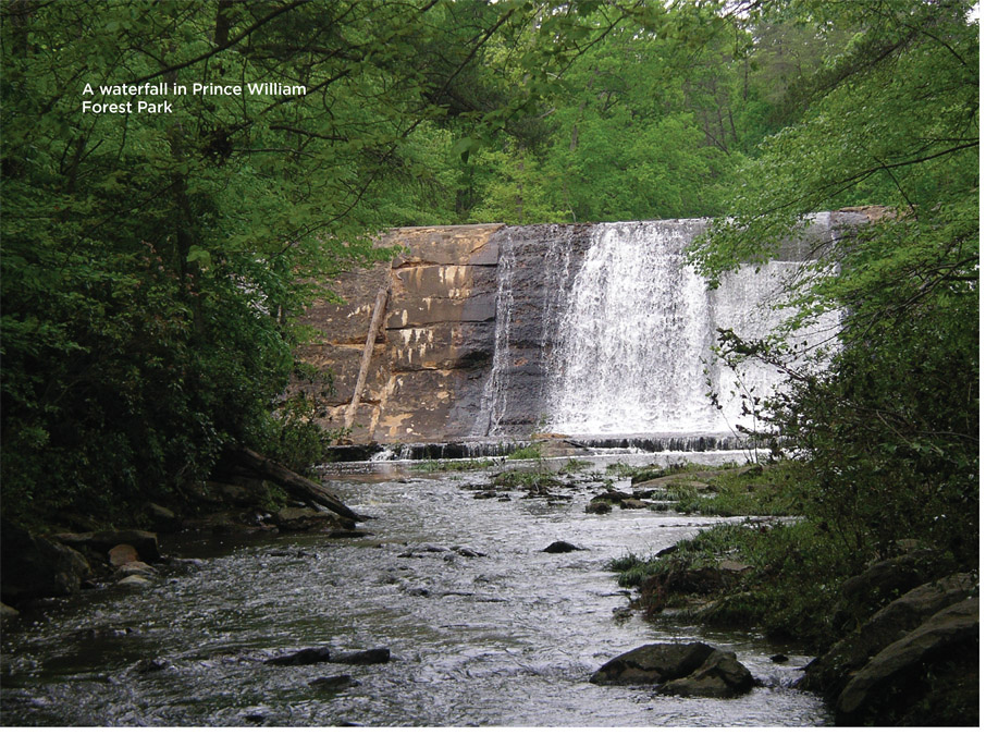 A waterfall in Prince William Forest Park