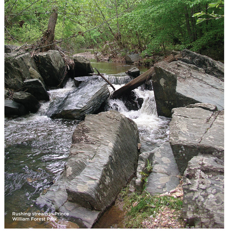 Rushing stream in Prince William Forest Park