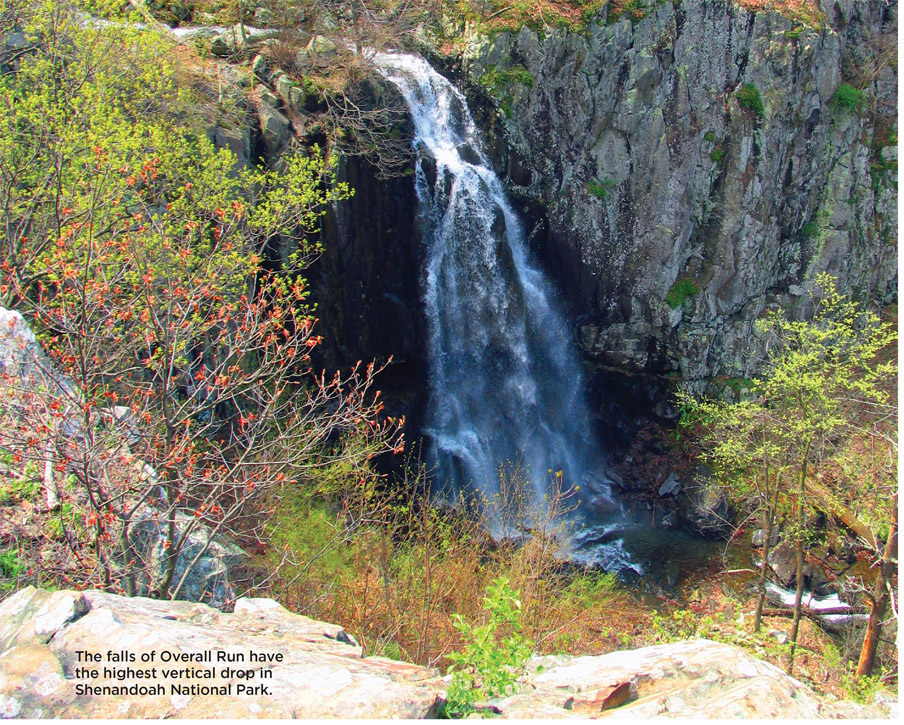 The falls of Overall Run have the highest vertical drop in Shenandoah National Park