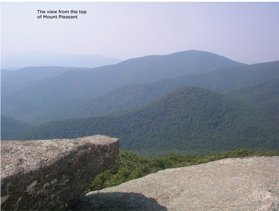 The view from the top of Mount Pleasant