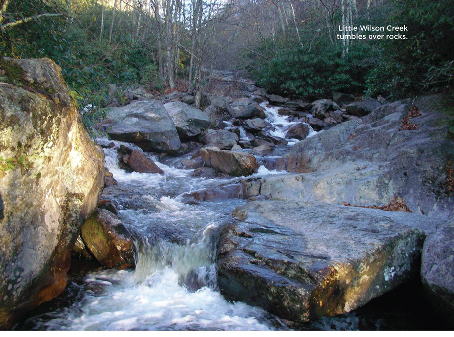 Little Wilson Creek tumbles over rocks.