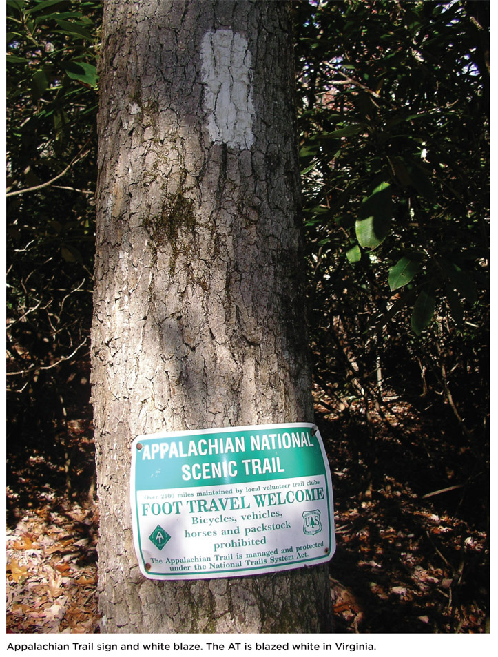 Appalachian Trail sign and white blaze. The AT is blazed white in Virginia.