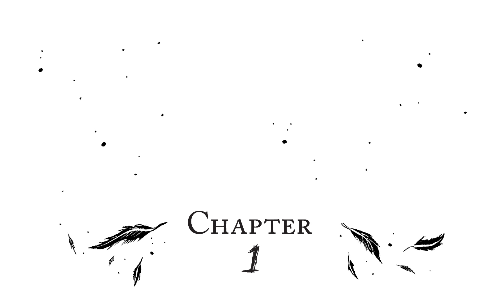 CHAPTER 1