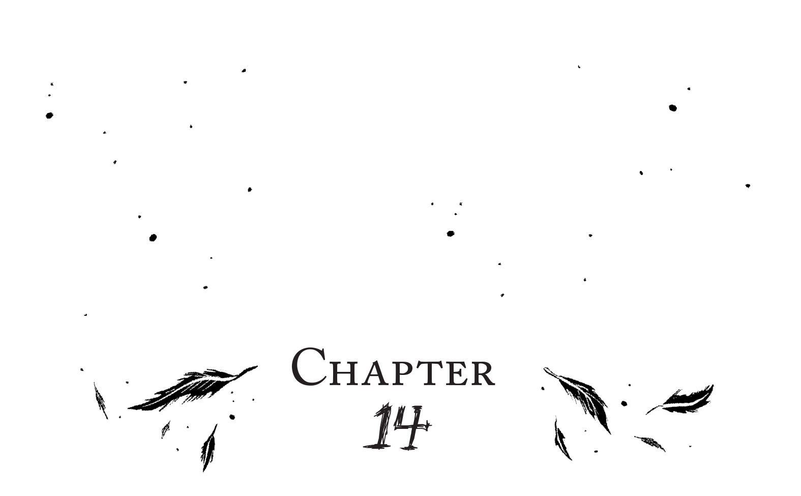 CHAPTER 14