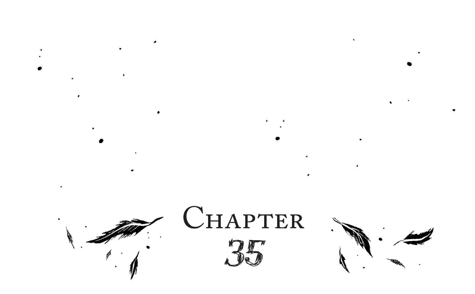 CHAPTER 35