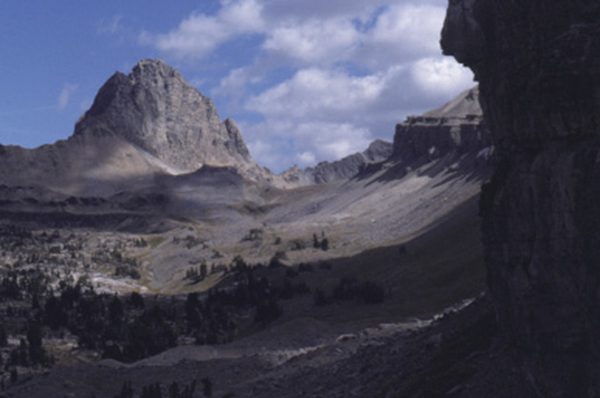 Alaska_Basin_nps.tif