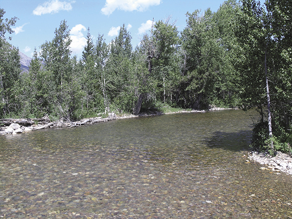 Cottonwood_Creek_nps.tif