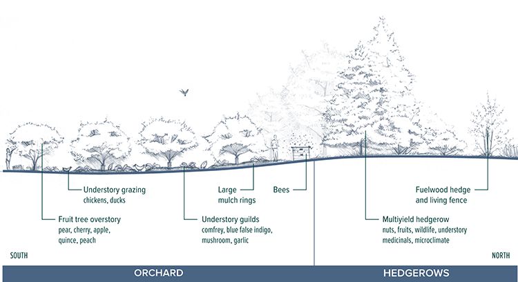 5-06_Orchards_%26_Hedgerows.tif