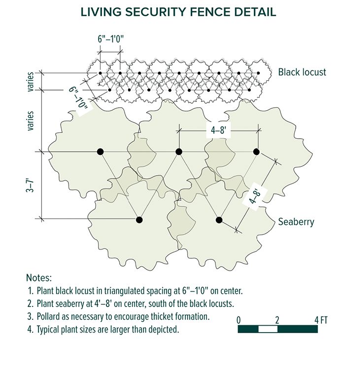 5-07_Living_Fence.tif