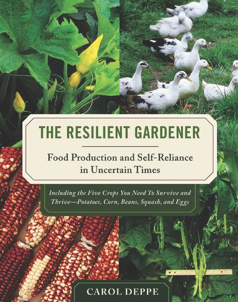 The_Resilient_Gardener.tif