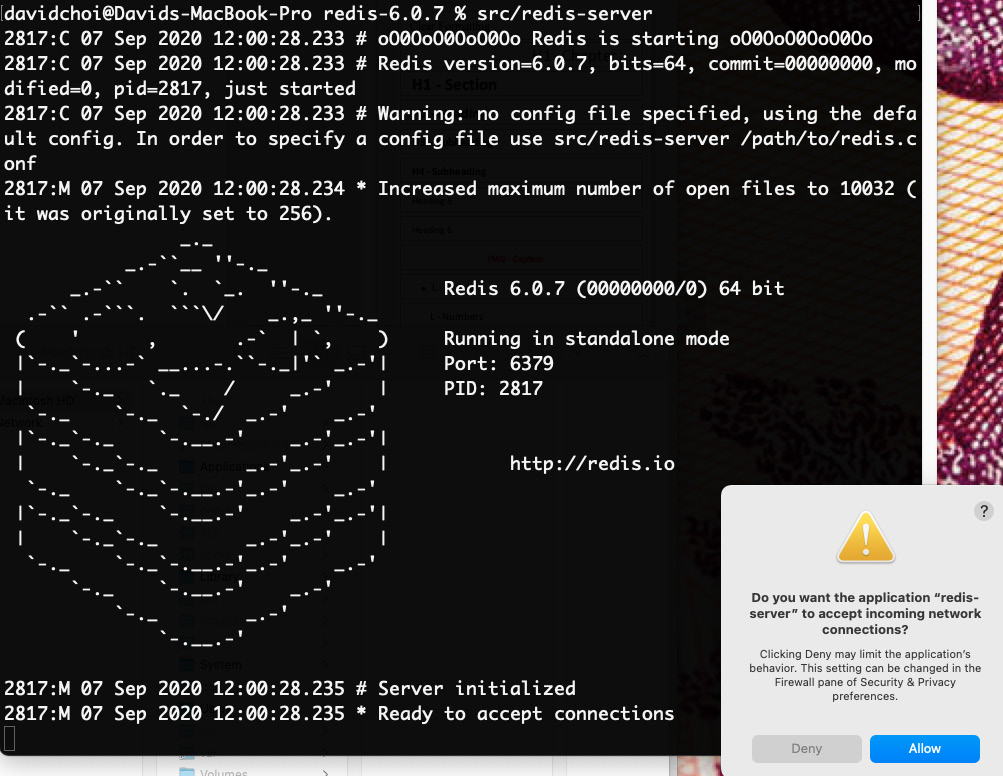 Figure 13.4 – Running Redis
