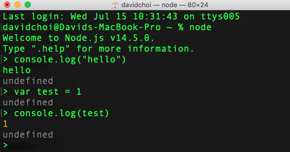 Figure 8.4 – Node REPL
