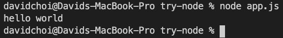 Figure 8.5 – Run app.js

