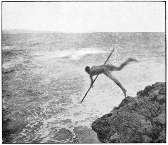 Leaping to Swim to Coral Reefs.