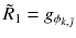 $$\tilde{R}_1=g_{\phi _{k,\tilde{\jmath }}}$$