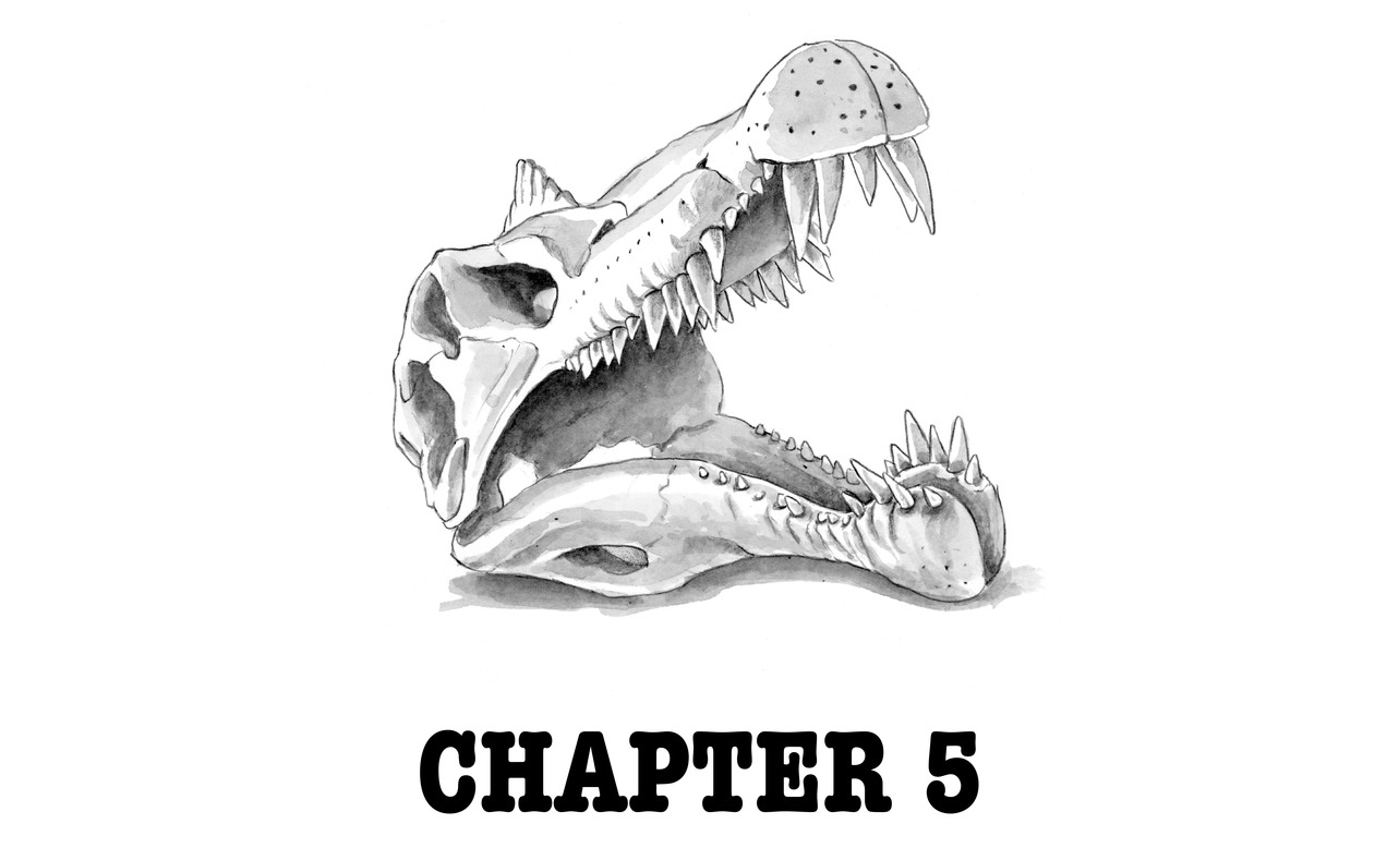 CHAPTER 5