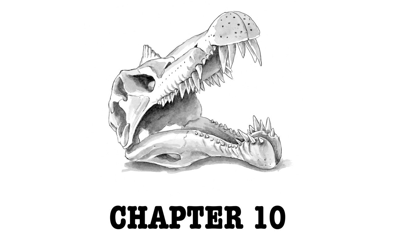 CHAPTER 10