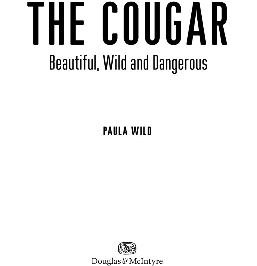 cougar003a.jpg