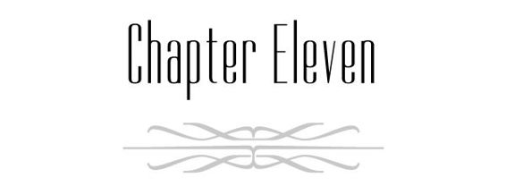 Chapter Eleven