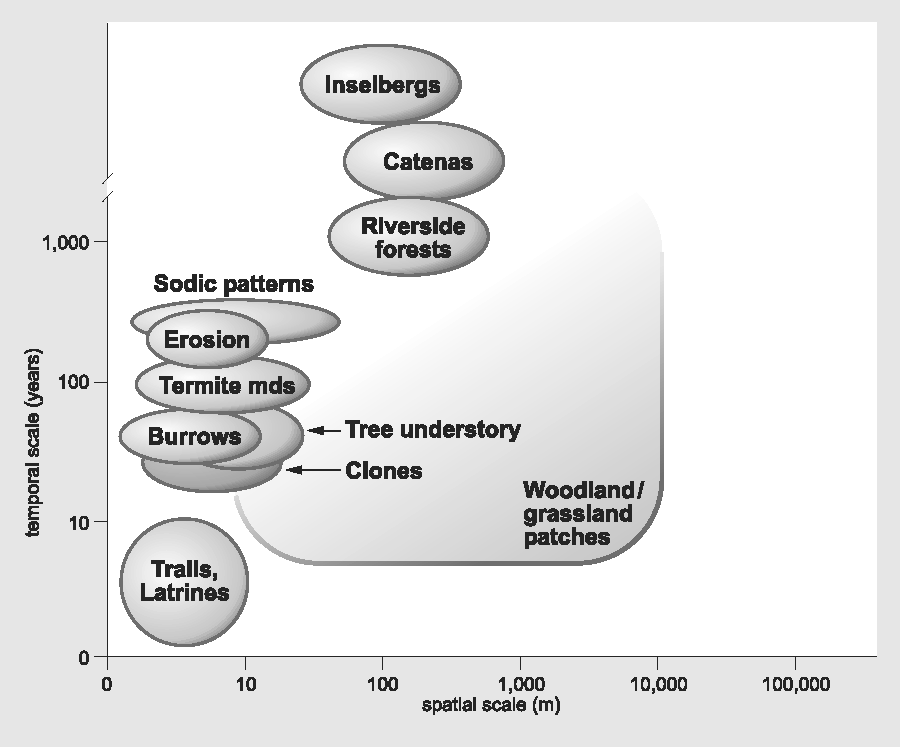 A978-0-387-78682-7_3_Fig2_HTML.gif