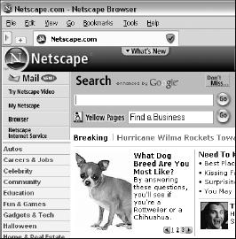 Netscape Navigator 8 view of Netscape home page