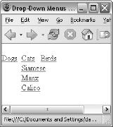 A drop-down menu