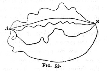 WilliamJamesFigure5.jpg