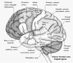 AssociationAreas43.jpg