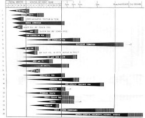 BrainMyelination4.jpg